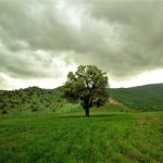 سفر به ناشناخته‌ها: در آغوش طبیعت