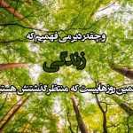 سرزمین خداوند: روزی مجالس با طبیعت و برکت هایش