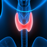 ورزش و تیروئید: راهکارهای مهم برای پیشگیری از اختلالات تیروئید
