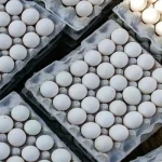 تعیین قیمت تخم مرغ در بازارهای تره بار: اعلام آخرین قیمت‌ها