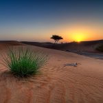 تحولات جالب تفال در دیدار با حافظ در پنجشنبه ۱۷ خرداد ۱۴۰۳؛‌حکایتی جذاب از بهشت ز کویت!