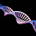 جایگزینی خارق‌العاده گیاهی که رکورد جهانی بیشترین مقدار DNA را شکست!