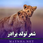 شعر تولد برادر { گزیده 50 اشعار تبریک تولد به داداش عزیز }