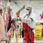 تازه و خوشمزه: قیمت گوشت قرمز امروز 27 تیر 1403 با افزایش توزیع به 300 گرم در روز