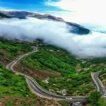 جنگل مرموز: دروازه به دنیای پنهان