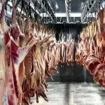 تقسیم 20 هزار تن مرغ و گوشت قرمز بین گروه‌های مذهبی: به اشتراک خوش طعم‌ها