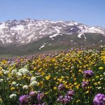 روستاهایی که شهریور ماه رنگ عوض می‌کنند