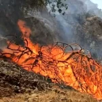 آتش سوزی وحشتناک در جنگل های دزفول که با مهار آتش‌نشانان نجات پیدا کرد