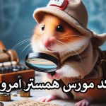 بازی هیجان انگیز کد مورس ۸ شهریور: همسترها به مبارزه می‌پردازند! 🐹🔍🔢