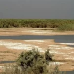 تبدیل آب به زمین خشک: بحران مصرف آب در آب های سطحی و تالاب ها