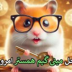 بازی هیجان انگیز مینی گیم همستر ۲ مهر 🐹- همراه با راز و رمزهای جذاب همستر کامبت • مجله تصویر زندگی