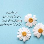 شعرهای کوتاه و بامزه برای پسرم تاج سرم