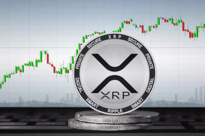چه کسانی بیشترین مقدار ریپل را در اختیار دارند؟