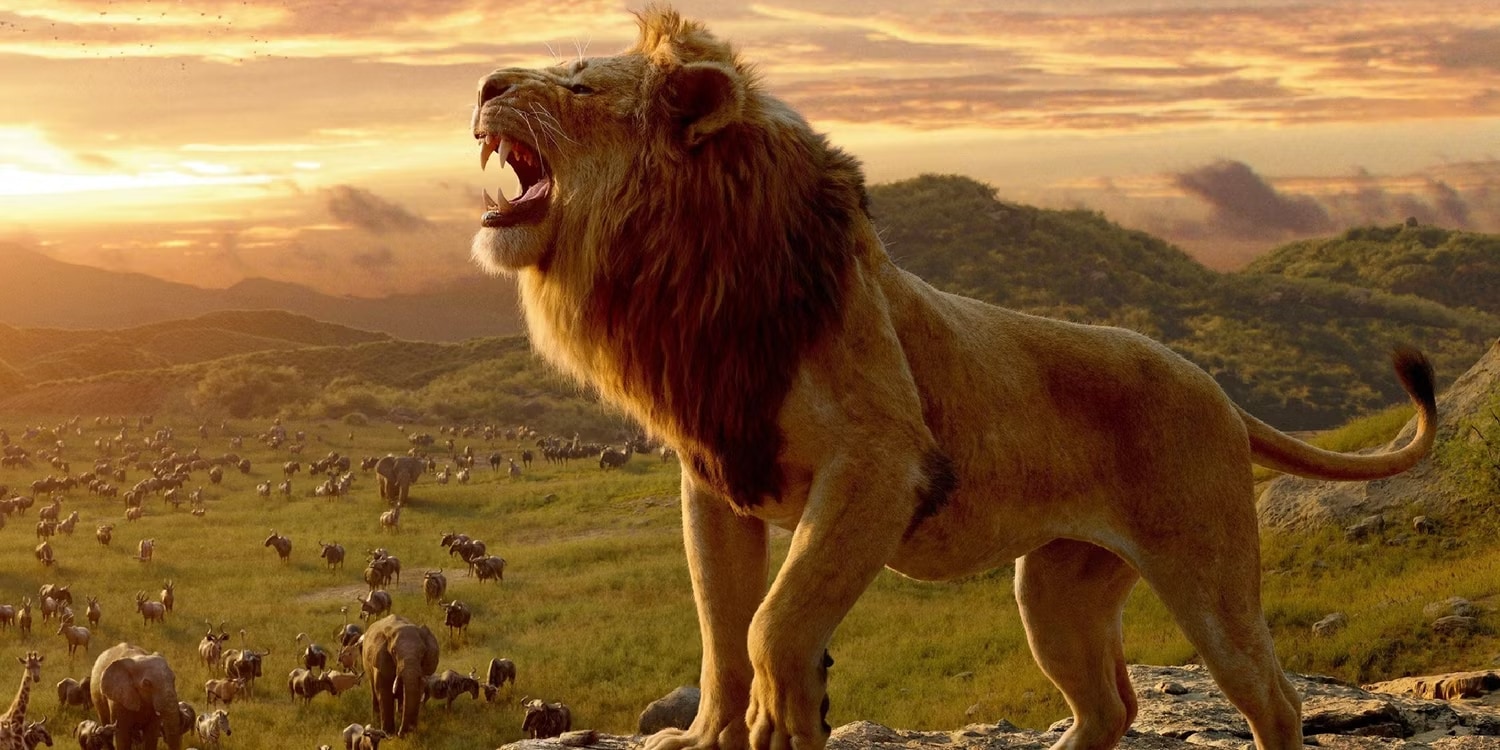 اسپین‌آف جدیدی از The Lion King در دست ساخت است