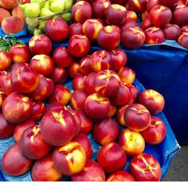 تعبیر خواب شلیل خوردن برای زن متاهل و باردار و دختر مجرد از روانشناسی