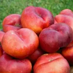 تعبیر خواب شلیل برای زن باردار برای زن متاهل و باردار و دختر مجرد از روانشناسی