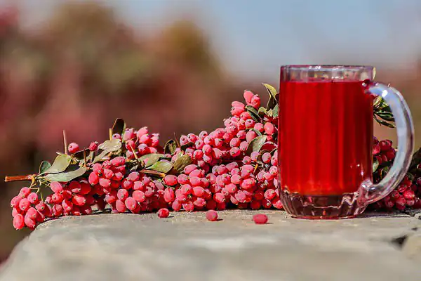 تعبیر خواب زرشک خریدن برای زن متاهل و باردار و دختر مجرد از روانشناسی