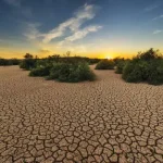 تعبیر خواب بیابان از نظر امام صادق برای زن متاهل و باردار و دختر مجرد از روانشناسی