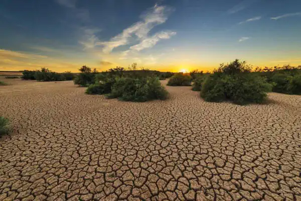 تعبیر خواب بیابان از نظر امام صادق برای زن متاهل و باردار و دختر مجرد از روانشناسی