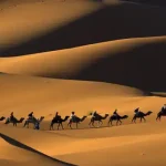 تعبیر خواب در کویر بودن برای زن متاهل و باردار و دختر مجرد از روانشناسی
