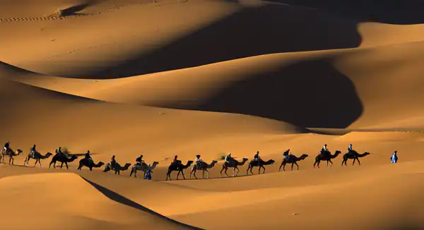 تعبیر خواب در کویر بودن برای زن متاهل و باردار و دختر مجرد از روانشناسی