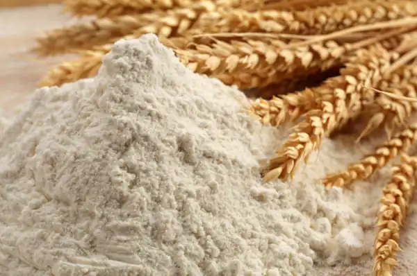 تعبیر خواب گندم و آرد برای زن متاهل و باردار و دختر مجرد از روانشناسی