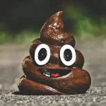 تعبیر خواب غایط مرده برای زن متاهل و باردار و دختر مجرد از روانشناسی