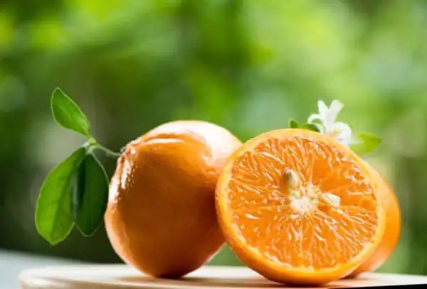 تعبیر خواب نارنج خراب برای زن متاهل و باردار و دختر مجرد از روانشناسی