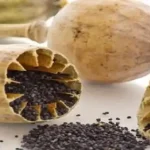 تعبیر خواب دیدن تریاک برای زن متاهل و باردار و دختر مجرد از روانشناسی