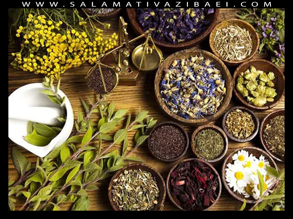 گیاهان تقویت کننده حافظه