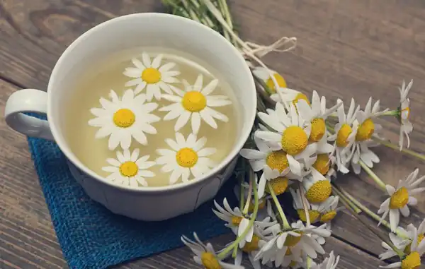تعبیر خواب دمنوش بابونه برای زن متاهل و باردار و دختر مجرد از روانشناسی