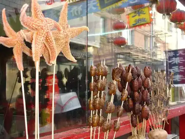 تعبیر خواب خوردن ستاره دریایی برای زن متاهل و باردار و دختر مجرد از روانشناسی