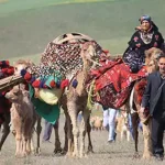 تعبیر خواب کوچ عشایر برای زن متاهل و باردار و دختر مجرد از روانشناسی