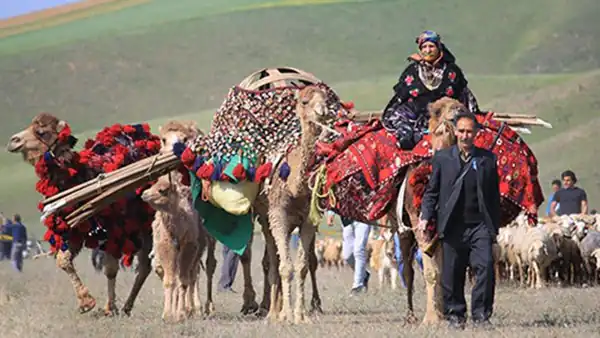 تعبیر خواب کوچ عشایر برای زن متاهل و باردار و دختر مجرد از روانشناسی