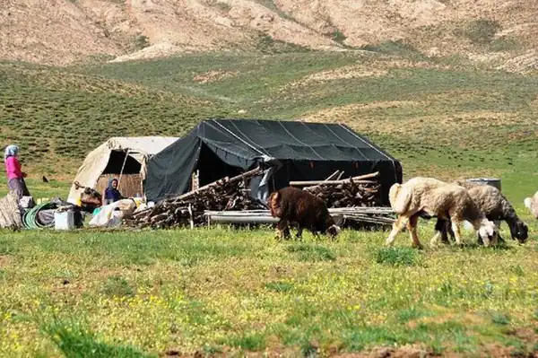 تعبیر خواب سیاه چادر عشایر برای زن متاهل و باردار و دختر مجرد از روانشناسی