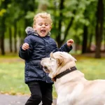 تعبیر خواب ترسیدن از سگ برای زن متاهل و باردار و دختر مجرد از روانشناسی