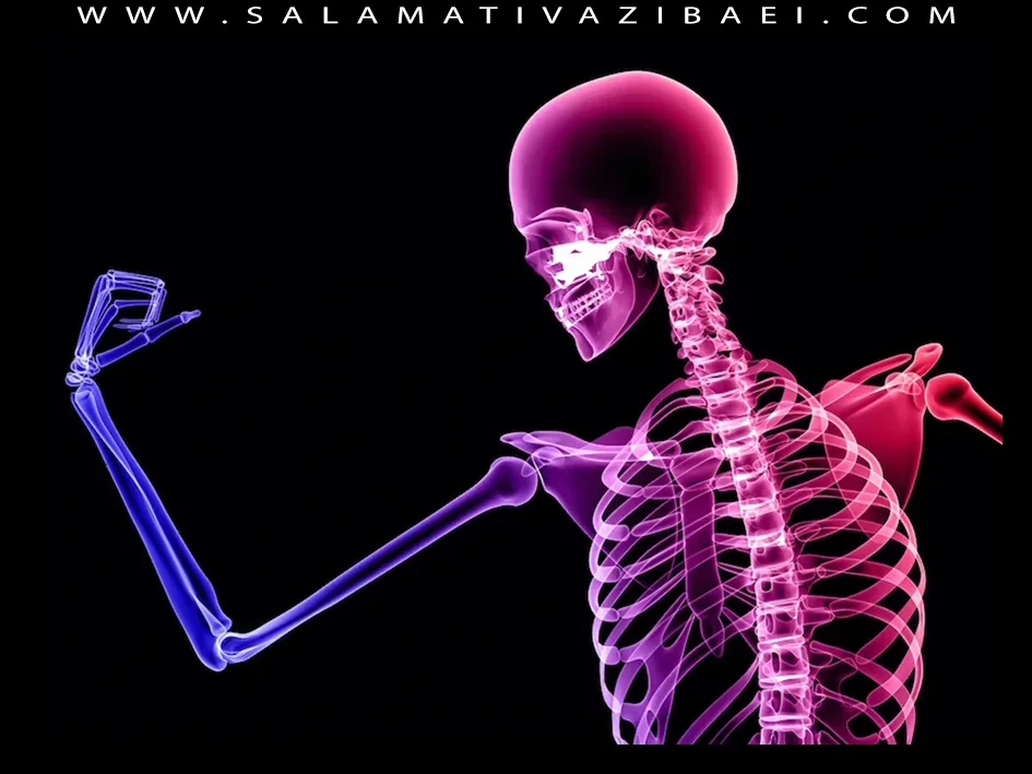 بهترین و سالم ترین رژیم غذایی برای کاهش وزن
