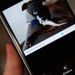امکان ویرایش سریع پیش از اشتراکگذاری در اپلیکیشن Google Photos فراهم شد