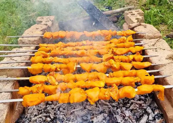 تعبیر خواب جوجه کباب خام برای زن متاهل و باردار و دختر مجرد از روانشناسی