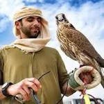 تعبیر خواب نشستن شاهین روی شانه برای زن متاهل و باردار و دختر مجرد از روانشناسی