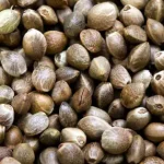 تعبیر خواب شاهدانه برای زن متاهل و باردار و دختر مجرد از روانشناسی