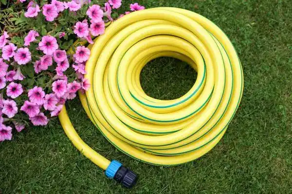 تعبیر خواب شلنگ چیست برای زن متاهل و باردار و دختر مجرد از روانشناسی
