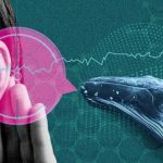 هوش مصنوعی در حال رمزگشایی زبان حیوانات است ؛ آیا باید پاسخ بدهیم؟