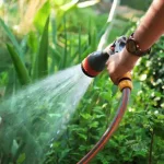تعبیر خواب آبیاری با شلنگ برای زن متاهل و باردار و دختر مجرد از روانشناسی