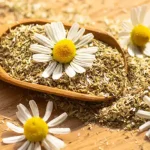 تعبیر خواب بابونه برای زن متاهل و باردار و دختر مجرد از روانشناسی