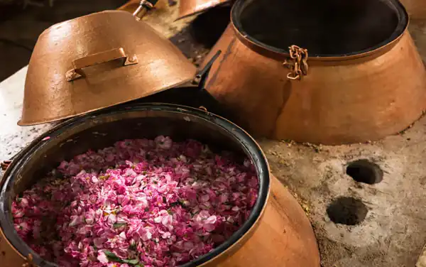 تعبیر خواب گلاب گرفتن چیست برای زن متاهل و باردار و دختر مجرد از روانشناسی