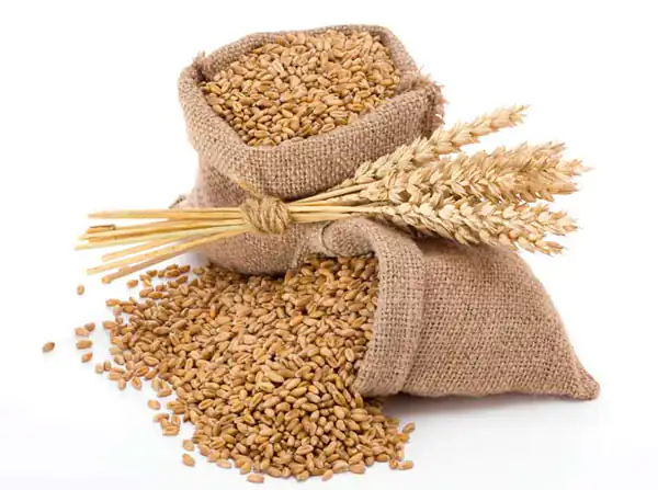 تعبیر خواب کفاره دادن برای زن متاهل و باردار و دختر مجرد از روانشناسی