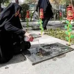 تعبیر خواب گلاب ریختن روی قبر برای زن متاهل و باردار و دختر مجرد از روانشناسی