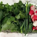 تعبیر خواب سبزی برای زن متاهل و باردار و دختر مجرد از روانشناسی