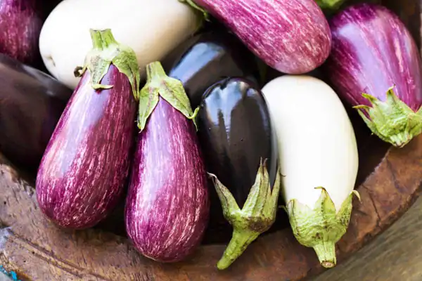 تعبیر خواب بادمجان خام برای زن متاهل و باردار و دختر مجرد از روانشناسی